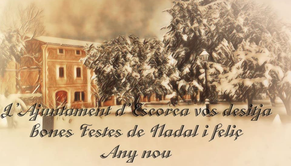 Bones Festes de Nadal i feliç Any nou