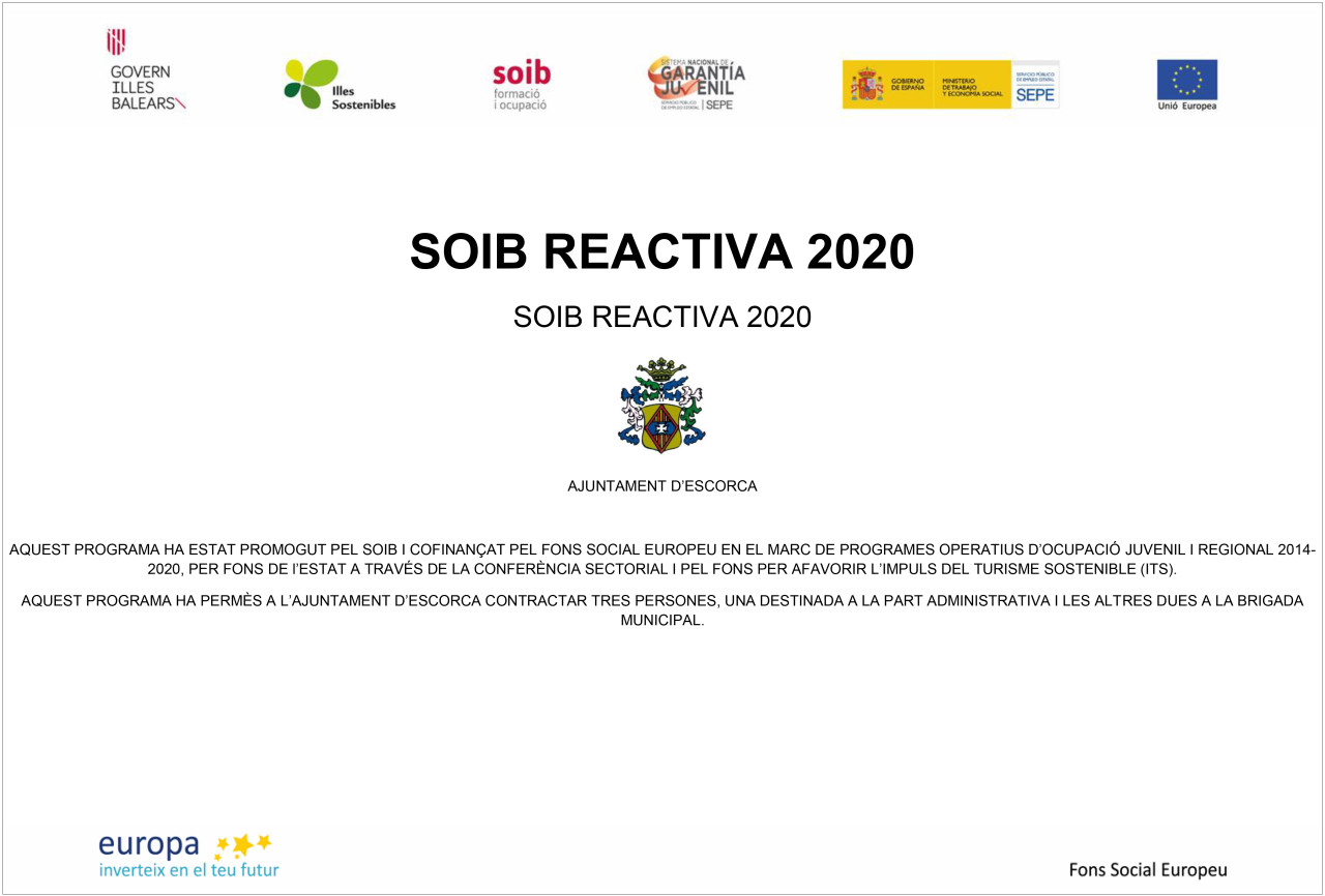 Soib Reactiva 2020