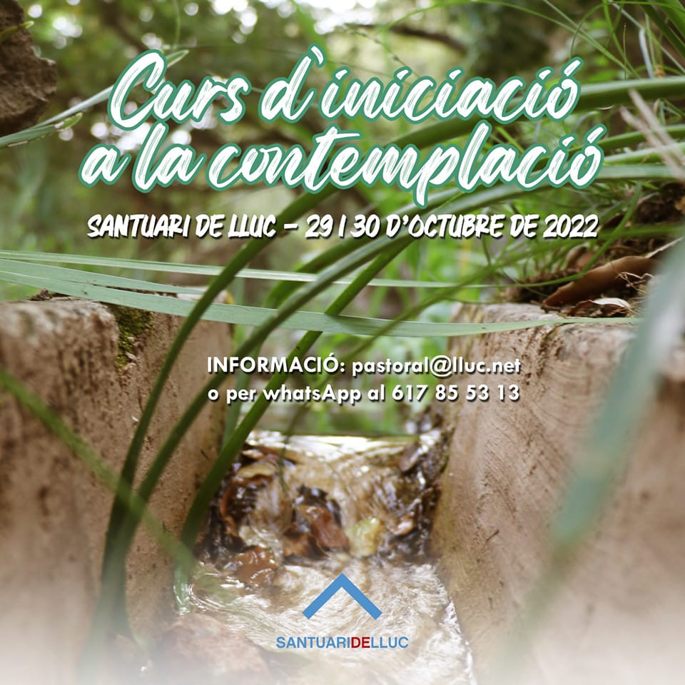 Curs d'iniciació a la contemplació