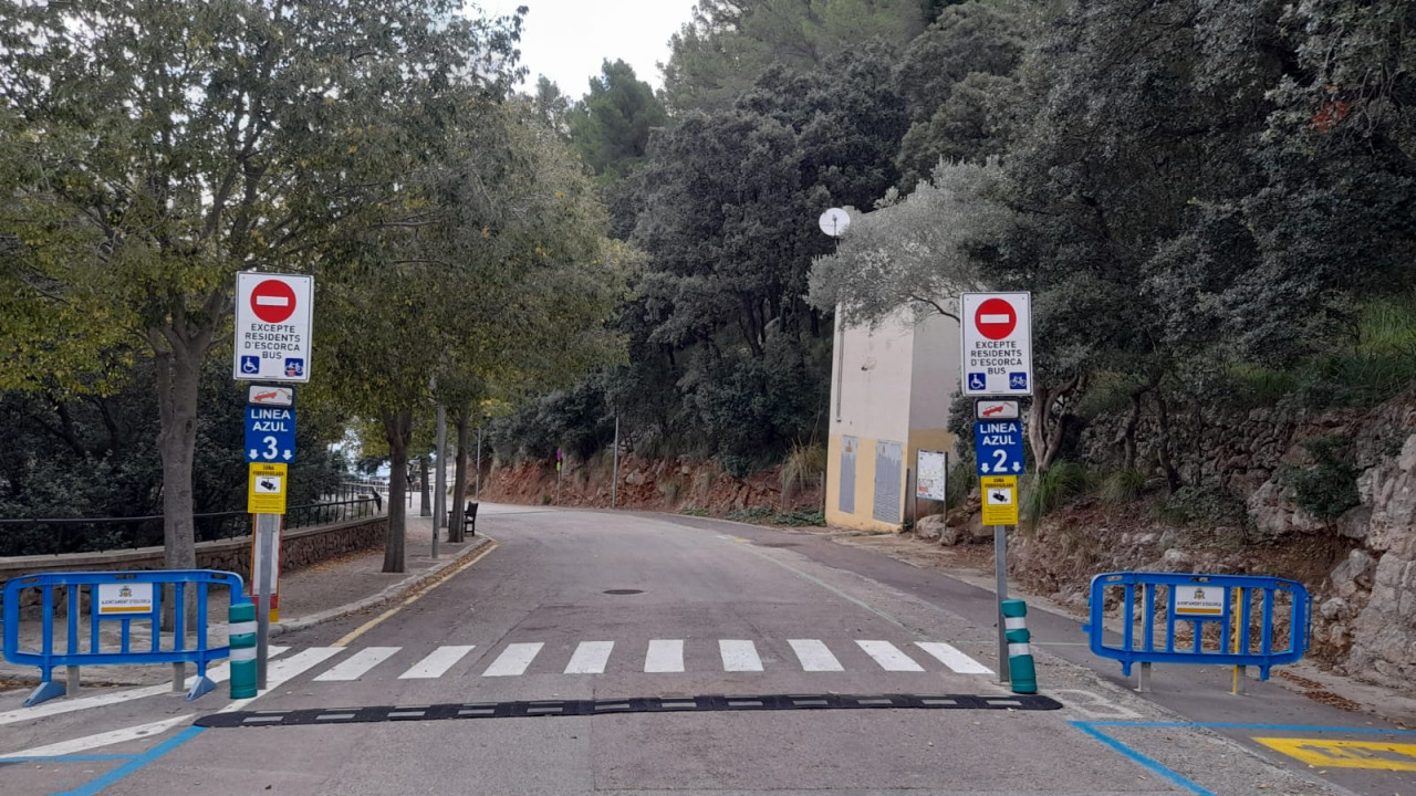 ACIRE DEL PORT DE SA CALOBRA