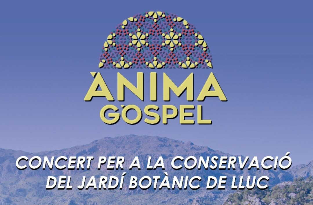 ÀNIMA GOSPEL