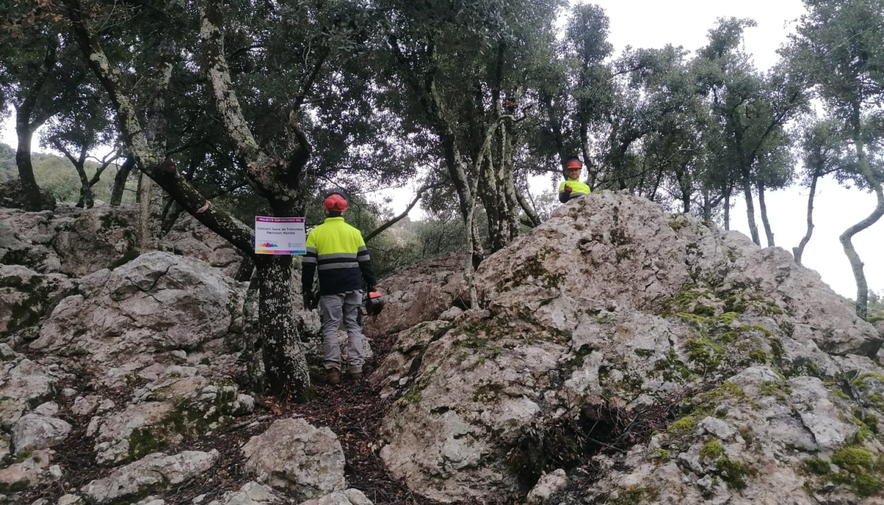 subvenció del Consorci de la Serra de Tramuntana