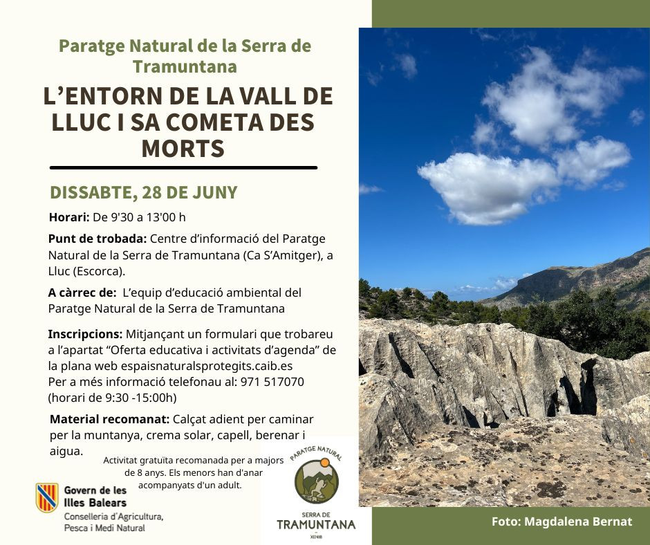 Caminada per l'entorn de la vall de Lluc i sa Cometa des Morts