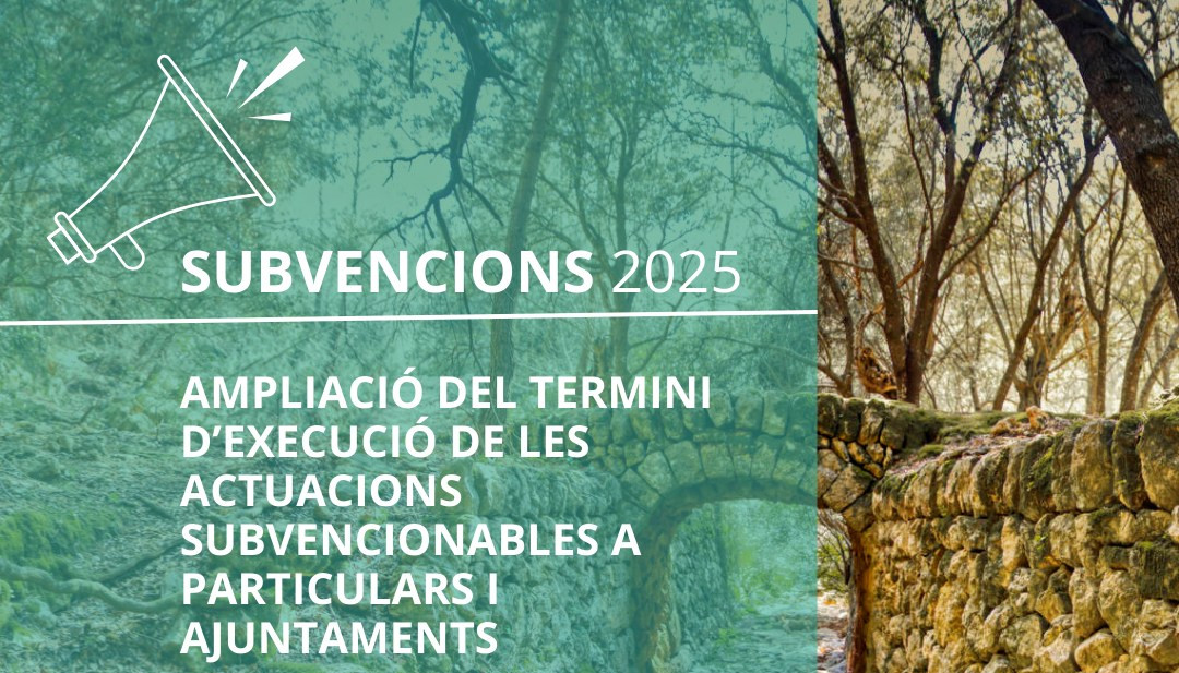subvencions